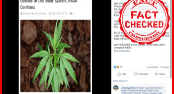 क्या NASA पुष्टि करता है कि गांजा के पौधे को दुसरे ग्रह से लाया गया है ? जानिये सच |