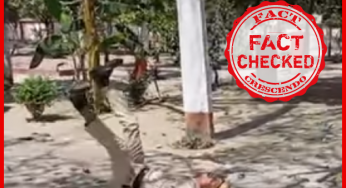 हाजीपुर में हुये पुलिस मोक ड्रिल के वीडियो को कोरोनावायरस संक्रमित पुलिसकर्मी के नाम से फैलाया जा रहा है|