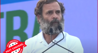 क्या राहुल गांधी ने हिंदी भाषा पर सवाल उठाते हुये कहा कि बाहर की दुनिया में वह काम नहीं आयेगी?