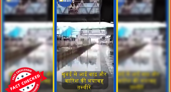 नालासोपारा रेलवे स्टेशन का यह वायरल वीडियो साल 2017 का है…. 
